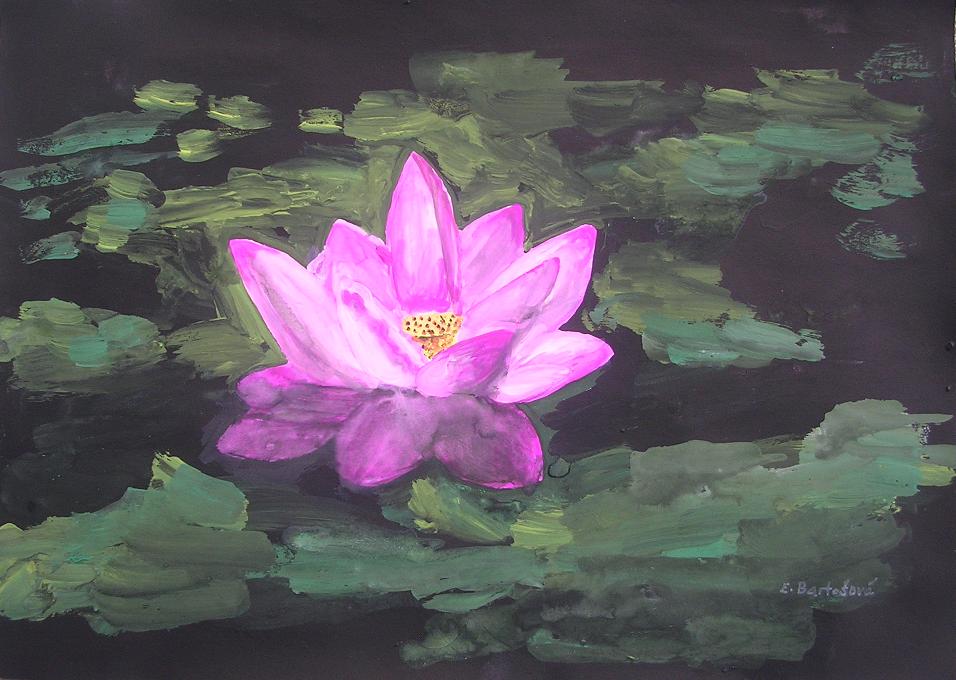 Lotosovy kvet Lotus flower 2.JPG