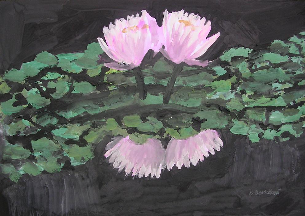 Water lily 3.JPG