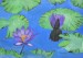 Water lily 4.JPG